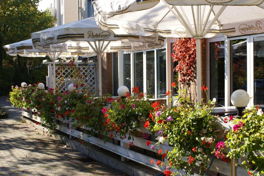 Zahrada ubytování Taste Hotel Dresden-ehemals Residenz Alt Dresden