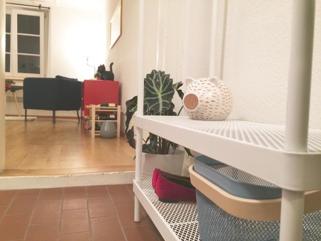 In Swiss Home - Rathaus from 1284 historical Apartment - Resim 21