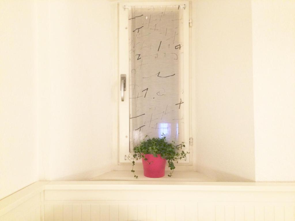 In Swiss Home - Rathaus from 1284 historical Apartment - Resim 30