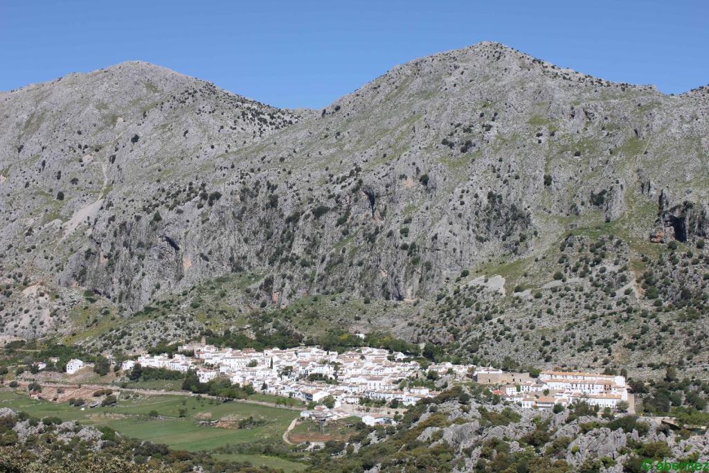 Gallery image of Apartamentos Buganvilla in Villaluenga del Rosario