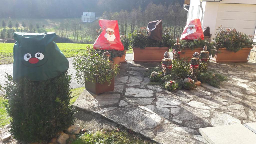 Zahrada ubytování Ferienhaus Planetz