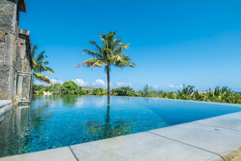 a swimming pool with a palm tree in the middle at Villa Solara by Oazure in Bel Ombre