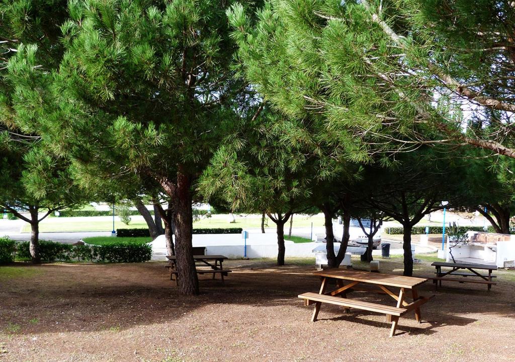 Zahrada ubytování Parque de Campismo Orbitur Sagres