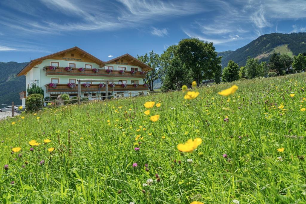 Nespecifikovaný výhled na hory nebo výhled na hory při pohledu z hotelu