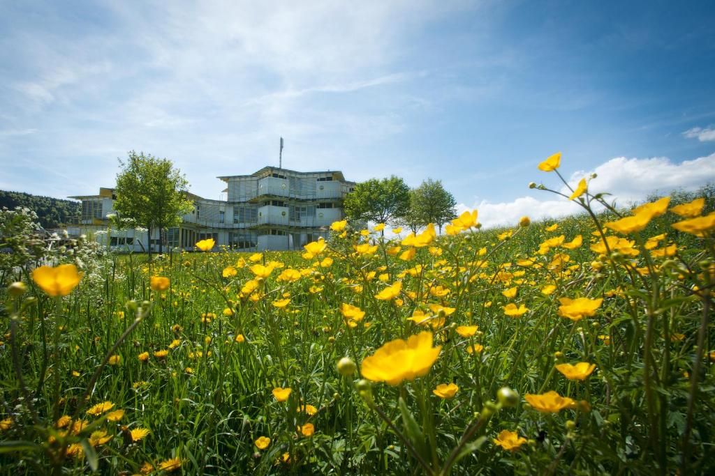 a field of yellow flowers in front of a building at CIP Hôtel in Tramelan