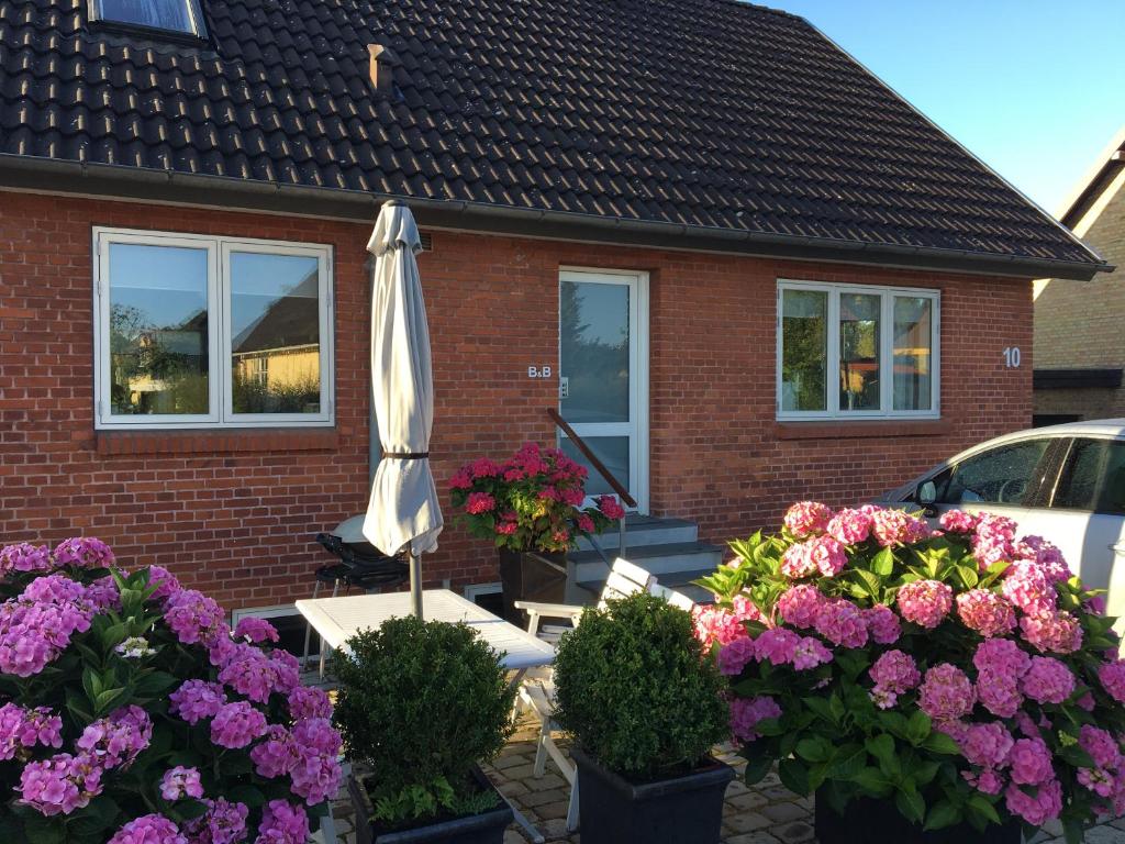 Zahrada ubytování Hannas B&B - 51 m2