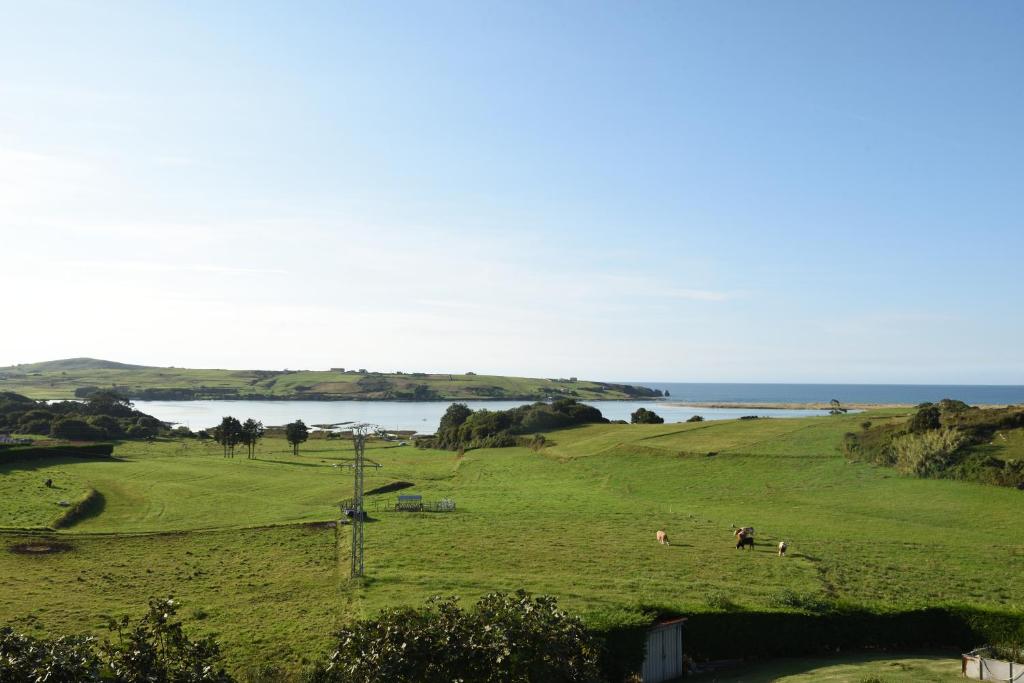 a group of animals in a field with a body of water at Apartamentos Rurales Los Solares in Mogro