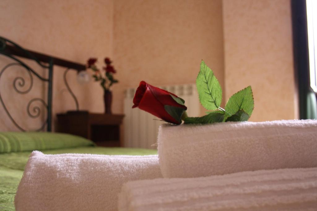una flor roja sentada en la parte trasera de una cama en CityGuestHouse Catanzaro, en Catanzaro