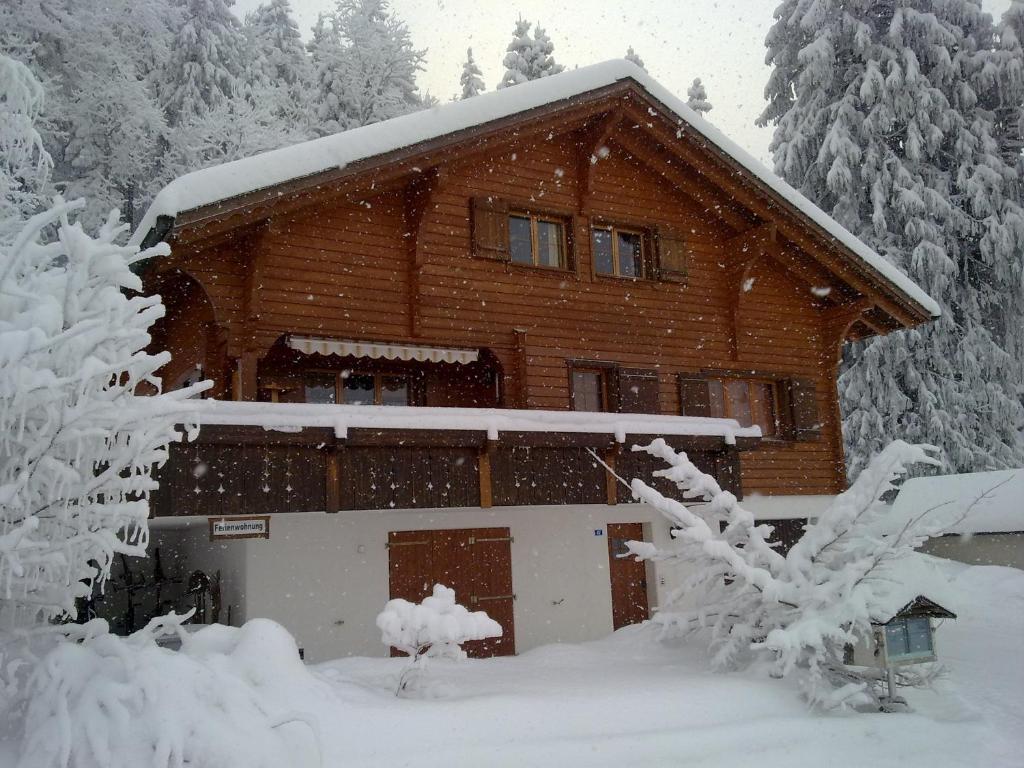 Chalet Murmeli v zimě