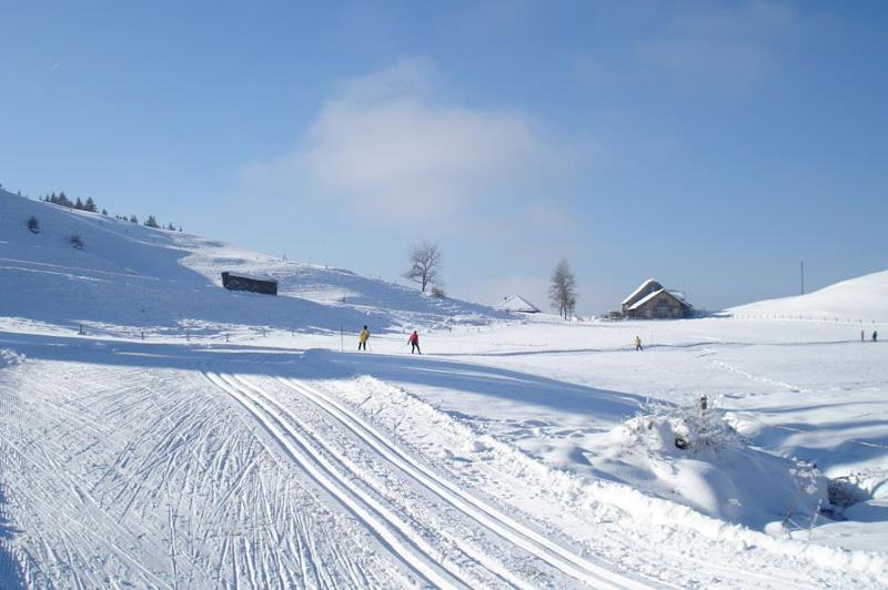 Chalet Murmeli v zimě