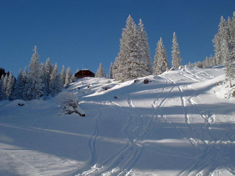 Chalet Murmeli v zimě