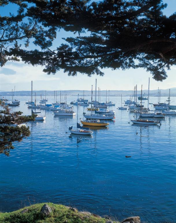 Monterey Bay Inn photo