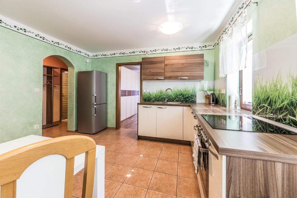 Kuchyň nebo kuchyňský kout v ubytování Apartments Planina pod Sumikom