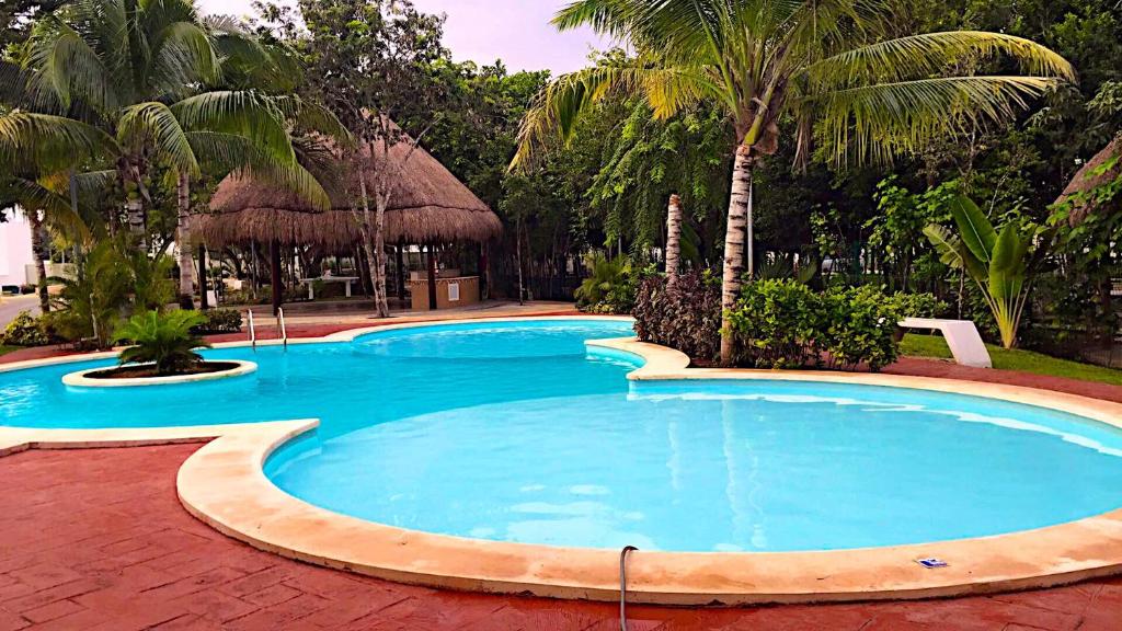 una gran piscina en un complejo con palmeras en Mango 78, en Playa del Carmen