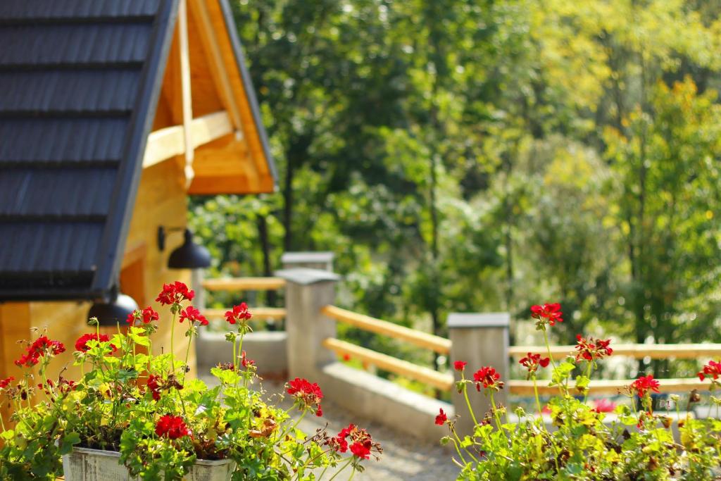 a garden with red flowers and a wooden fence at Kasiablanka in Szczawnica