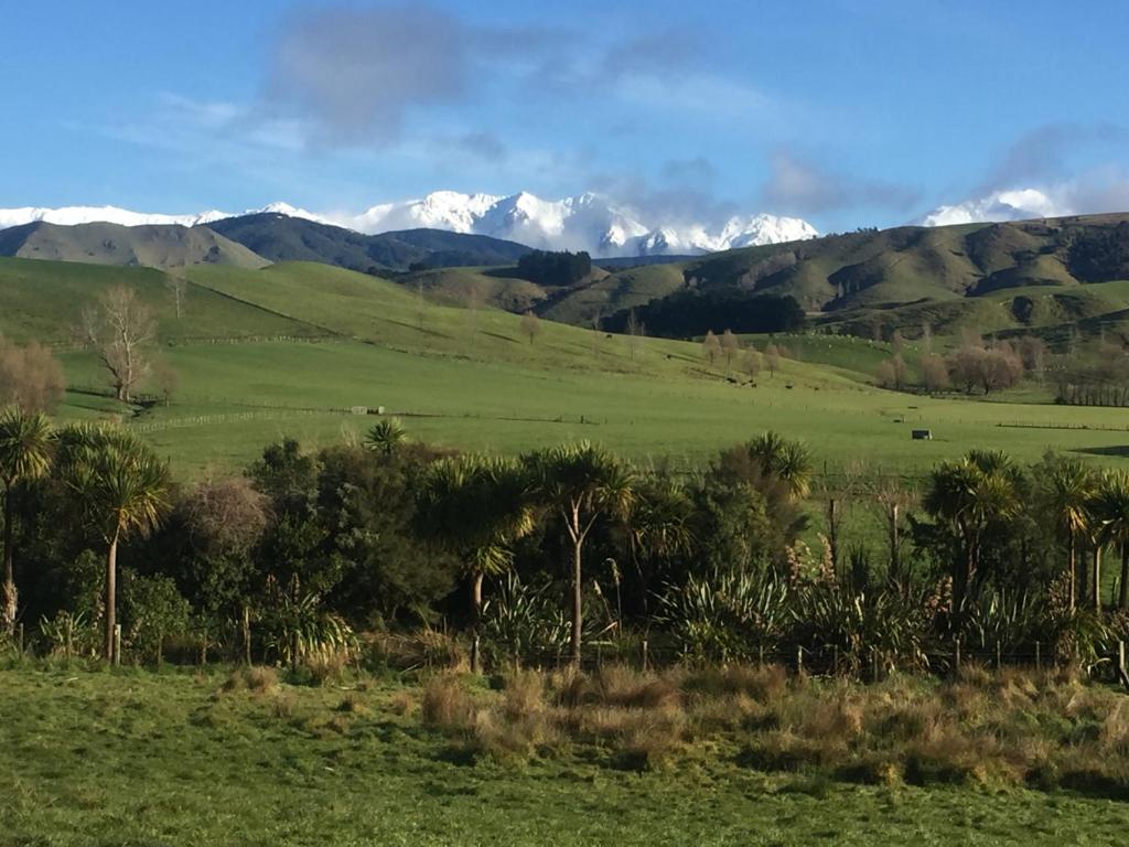 Fallow Hut - Resim 11