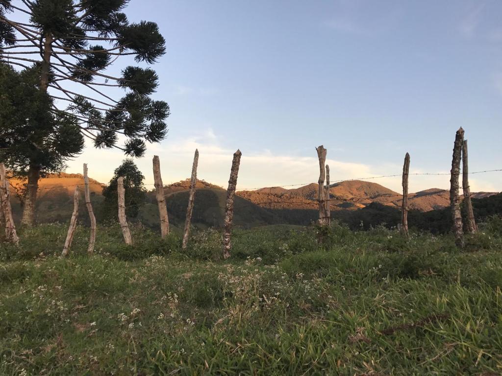  Apartamento Ferias Fazenda Usina 2