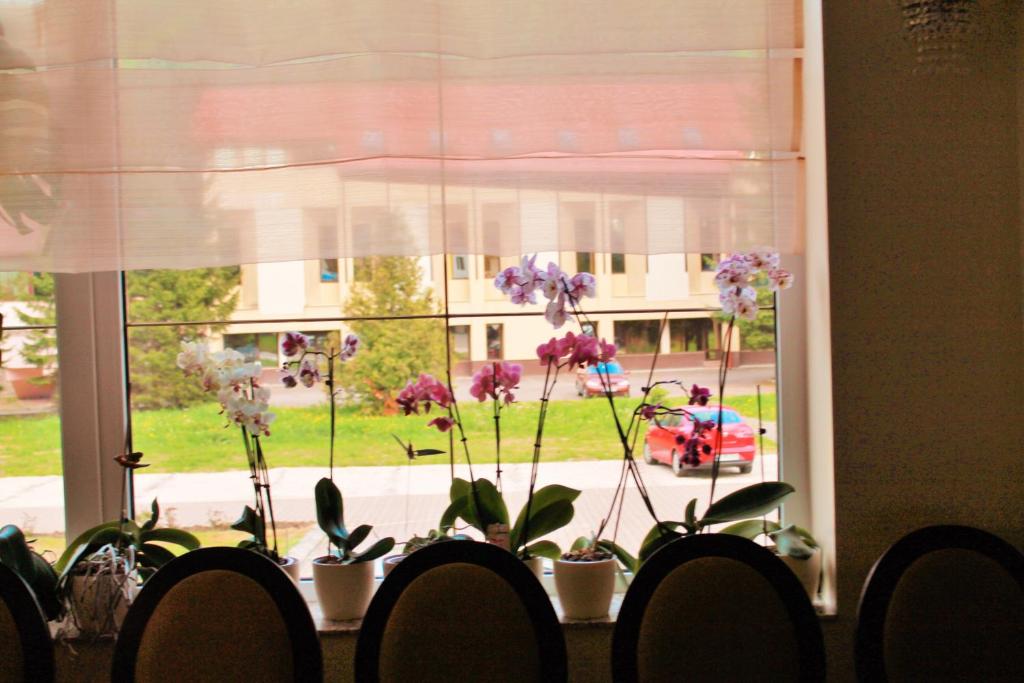 Hotel Crisalpin - Resim 33