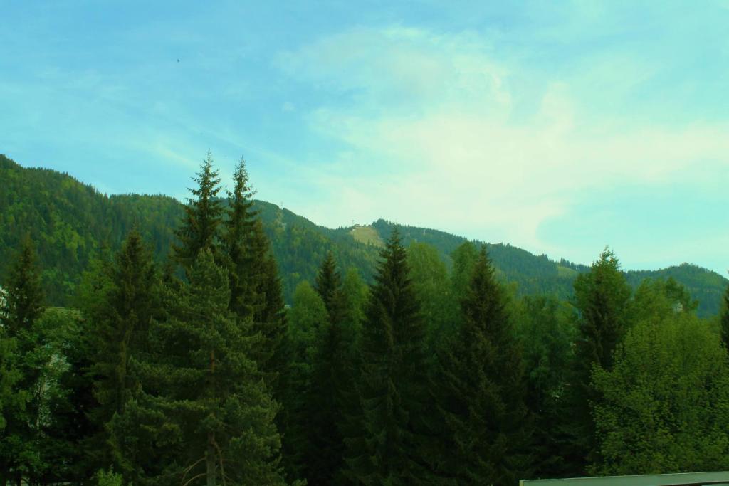 Hotel Crisalpin - Resim 30