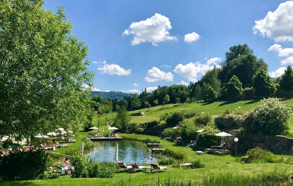 Příroda nedaleko hotelu