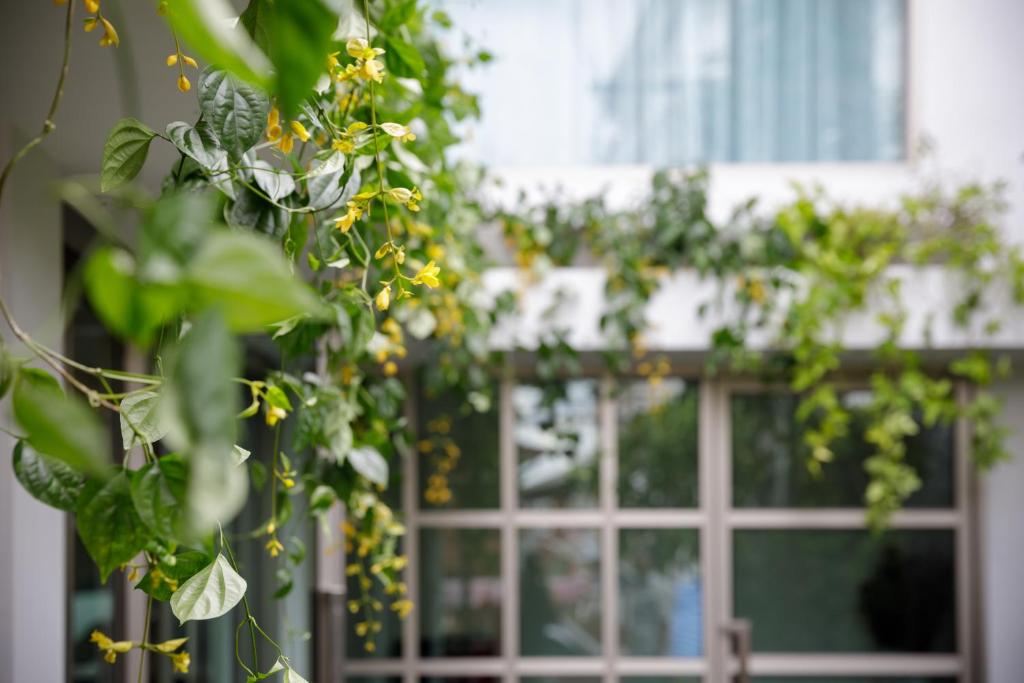 9 SUITE Luxury Boutique Hotel - Resim 13