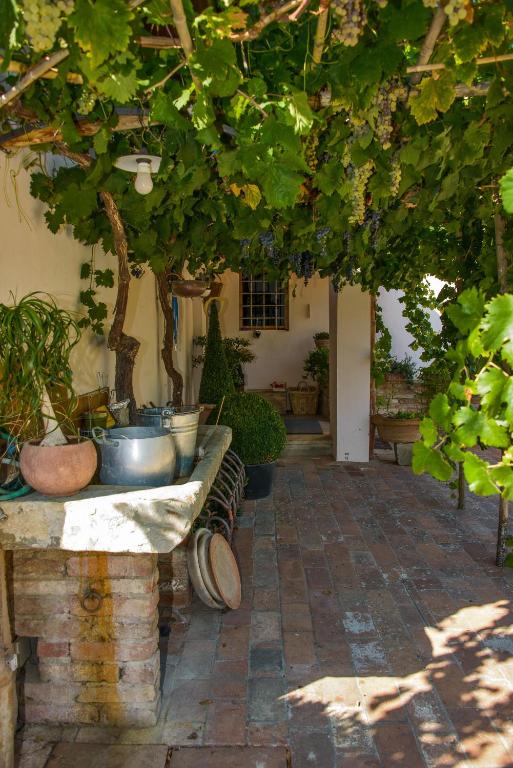 Zahrada ubytování Agriturismo Olmi Grossi