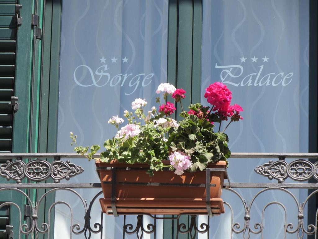 Ein Pflanzer voller Blumen auf einem Zaun in der Unterkunft Sorge Palace in Mussomeli