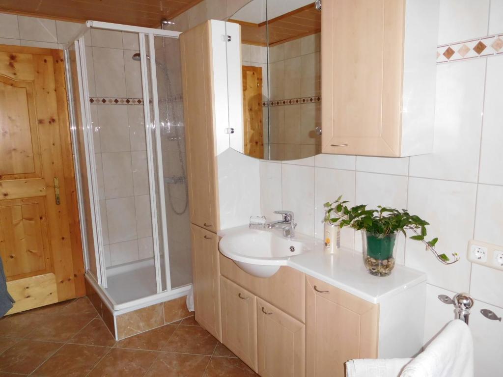 Kúpeľňa v ubytovaní Apartment Aschaber