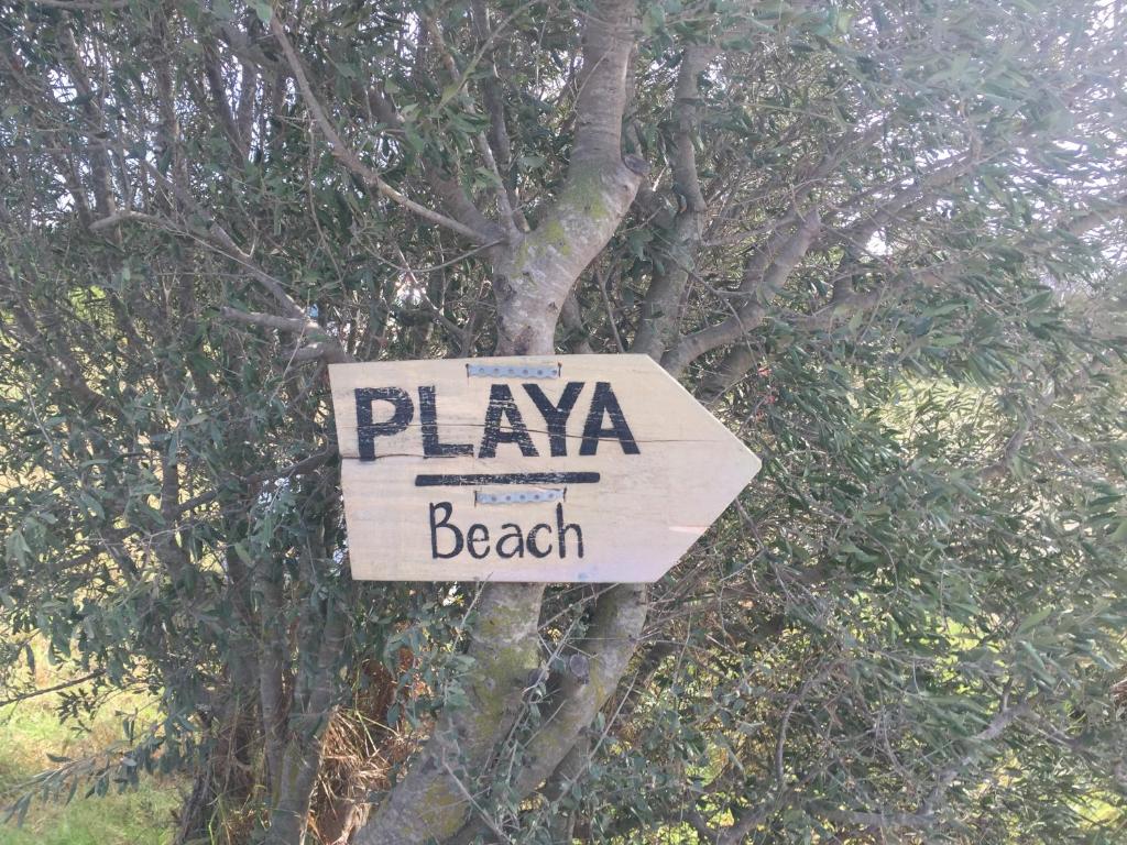 a sign that says playa beach in front of a tree at Bungalows Tangana in Tarifa