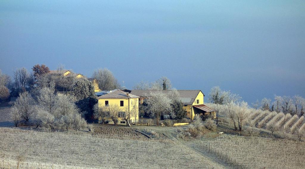 Příroda nedaleko farmy
