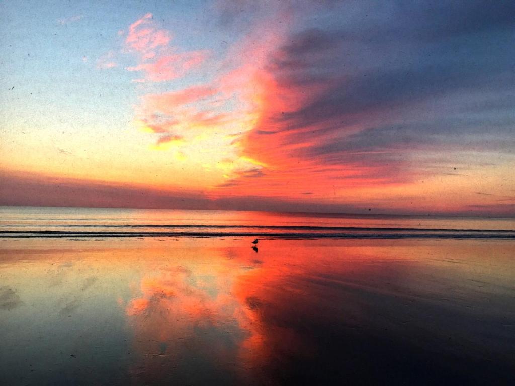 Early Bird Summer 2025 SALE NANTASKET Beach, Hull (updated prices 2024)