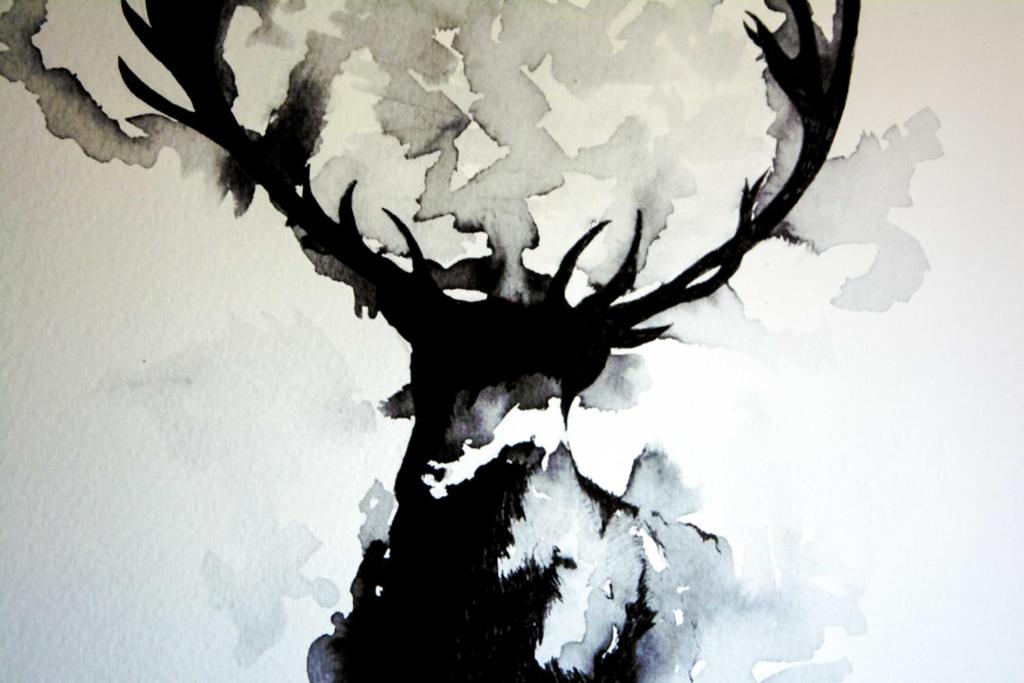 Lindenau Inn - Resim 26