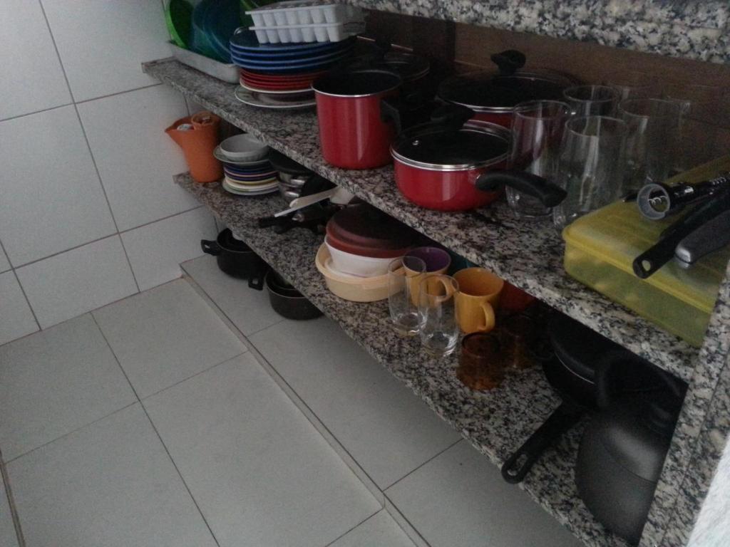  Kit Pitangueiras