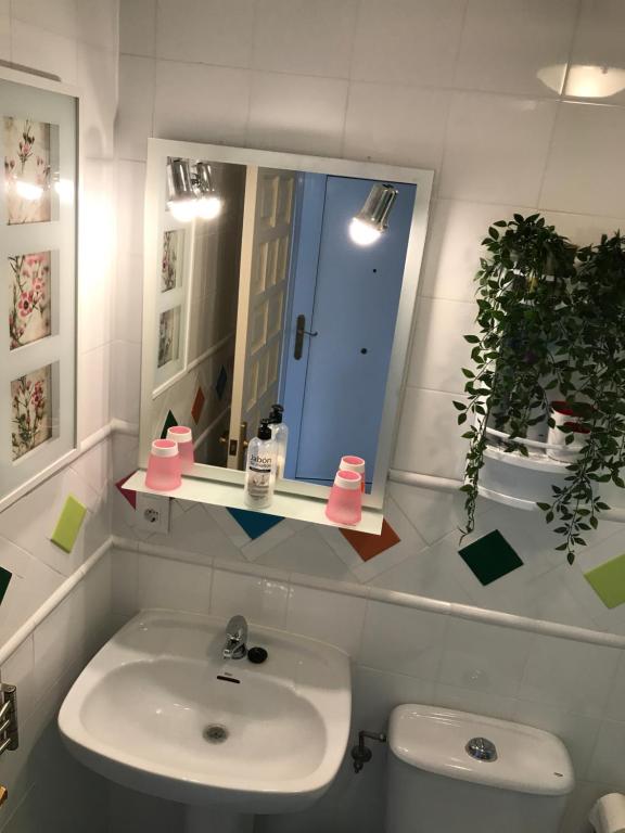 Oasis Paradise - Luxe Appartement