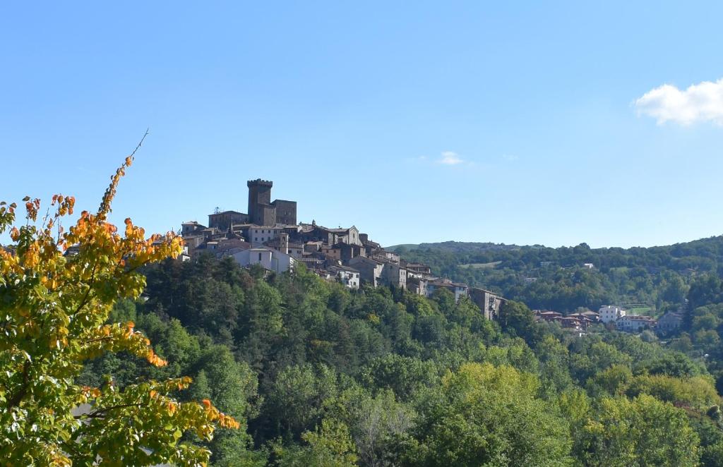 a castle on top of a hill at Podere San Ferdinando in Arcidosso