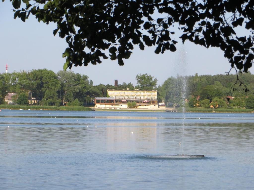 Neptun في Międzychód: نافورة في وسط البحيرة