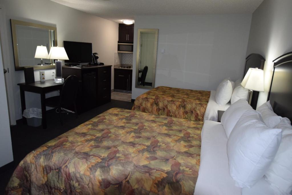 En eller flere senge i et værelse på El Lobo Motel