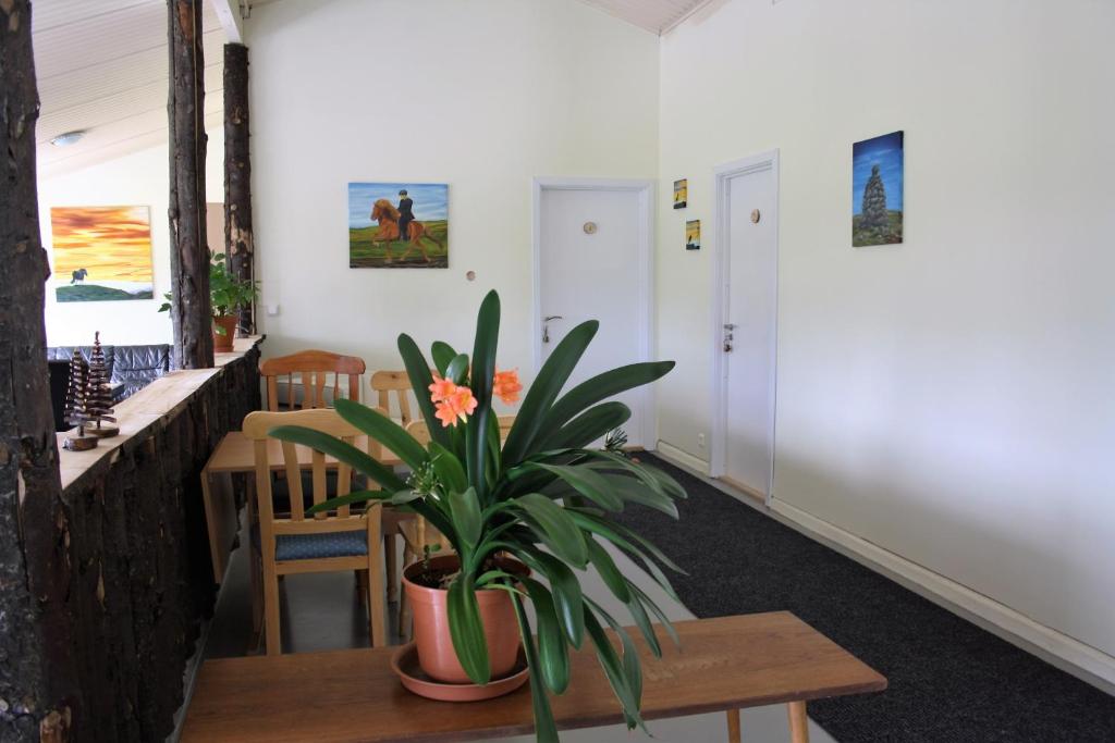 Fotografie z fotogalerie ubytování Kaldbakur Guesthouse v destinaci Heimaland