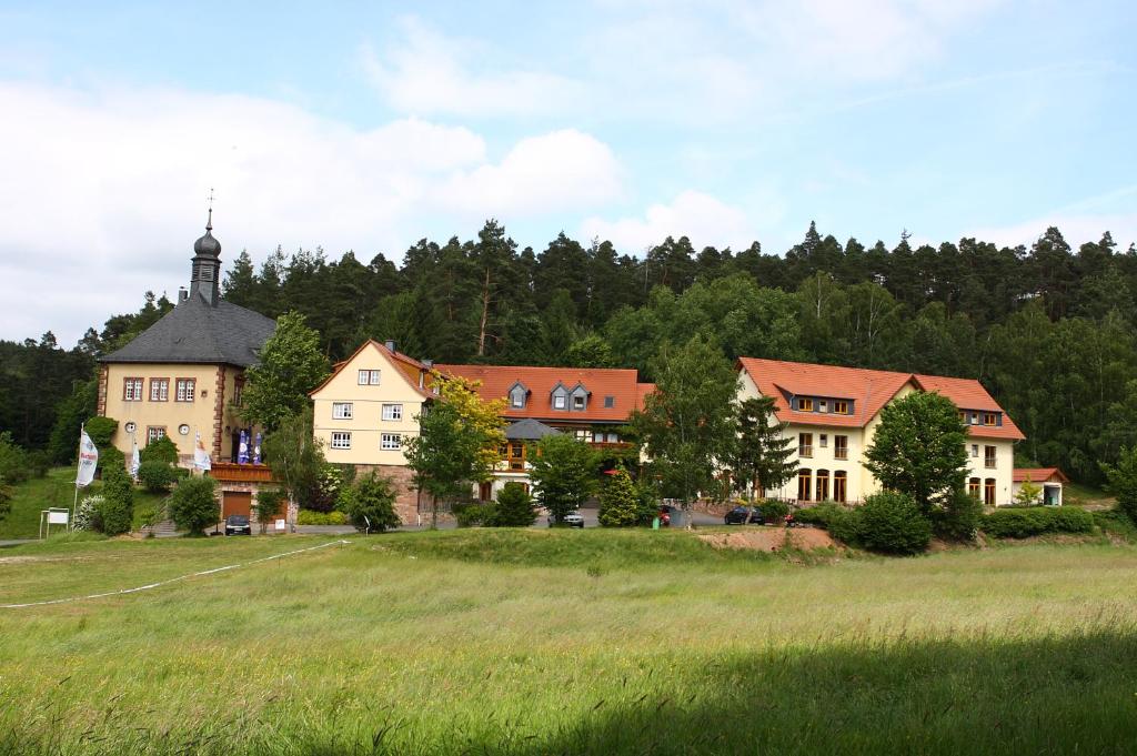 a group of houses on a grassy field with trees at Jagdhof Klein Heilig Kreuz in Großenlüder