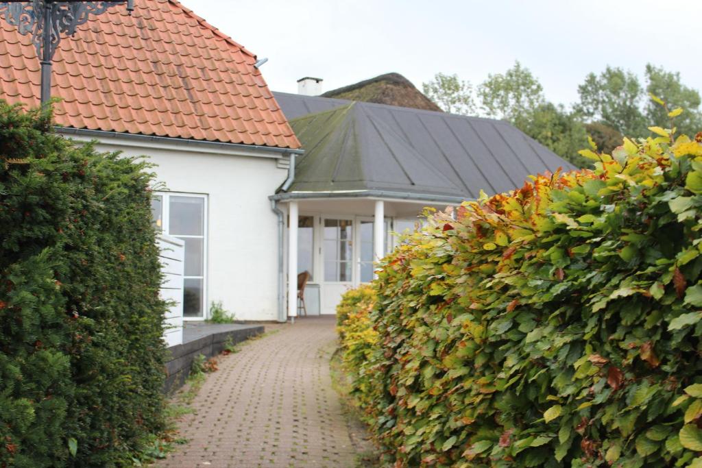 Zahrada ubytování Hotel Aarslev Kro