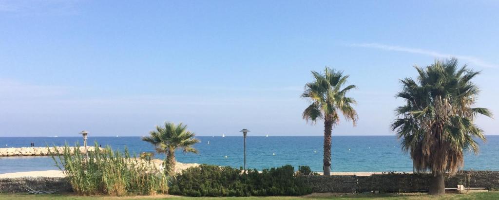 un gruppo di palme sulla spiaggia di Residence Acapulco a Villeneuve-Loubet