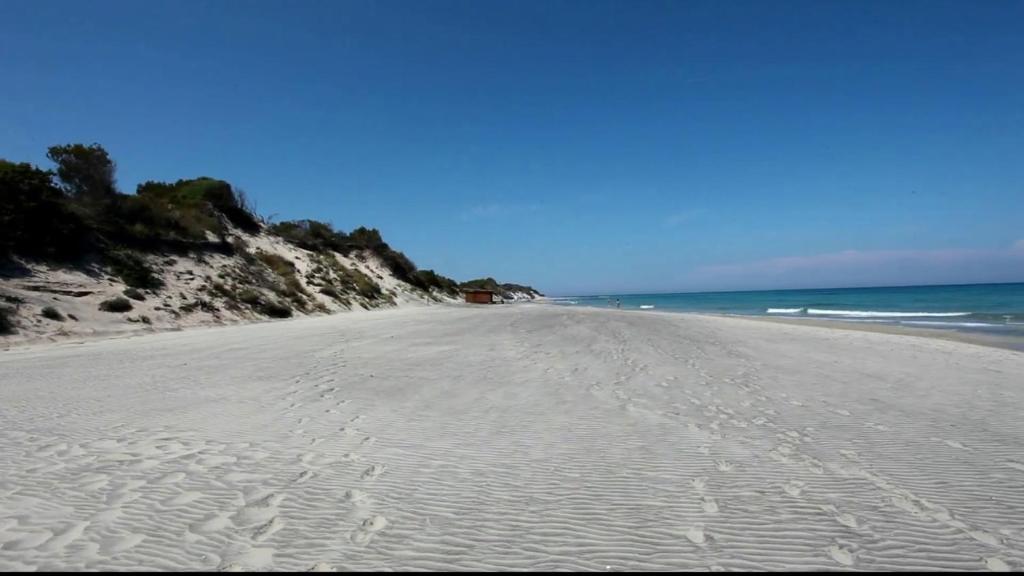 Molto Benissimo - 15