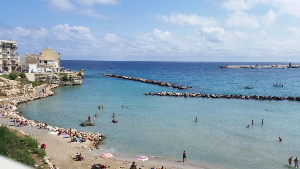 Molto Benissimo - 11