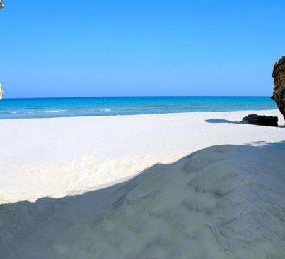 Molto Benissimo - 14