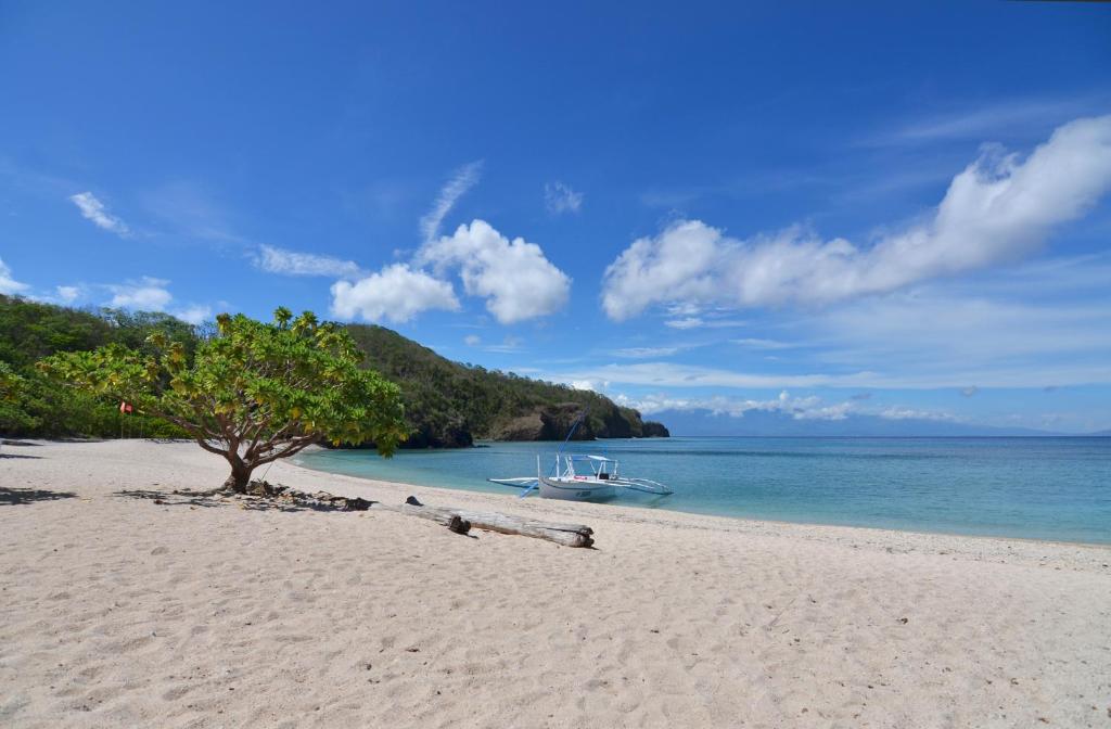 a boat on a beach with a tree and the ocean at Eagle Point Beach and Dive Resort in Mabini