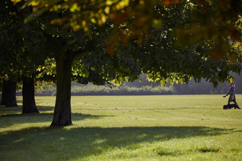 Mandarin Oriental Hyde Park, London - Resim 11