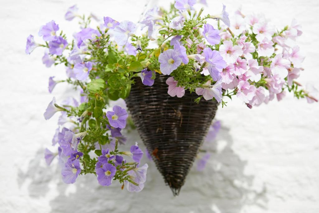 The Wheatsheaf Combe Hay - Resim 26