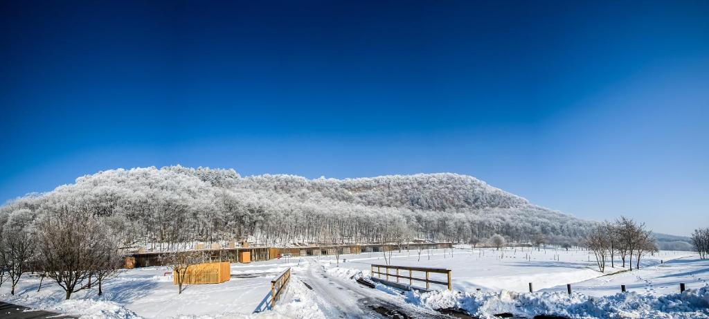 Szentkút Pilgrim Center v zime