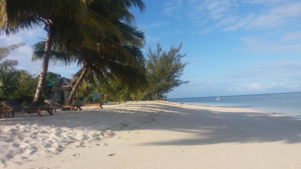 a beach with benches and palm trees and the ocean at Residence Monique in Ile aux Nattes