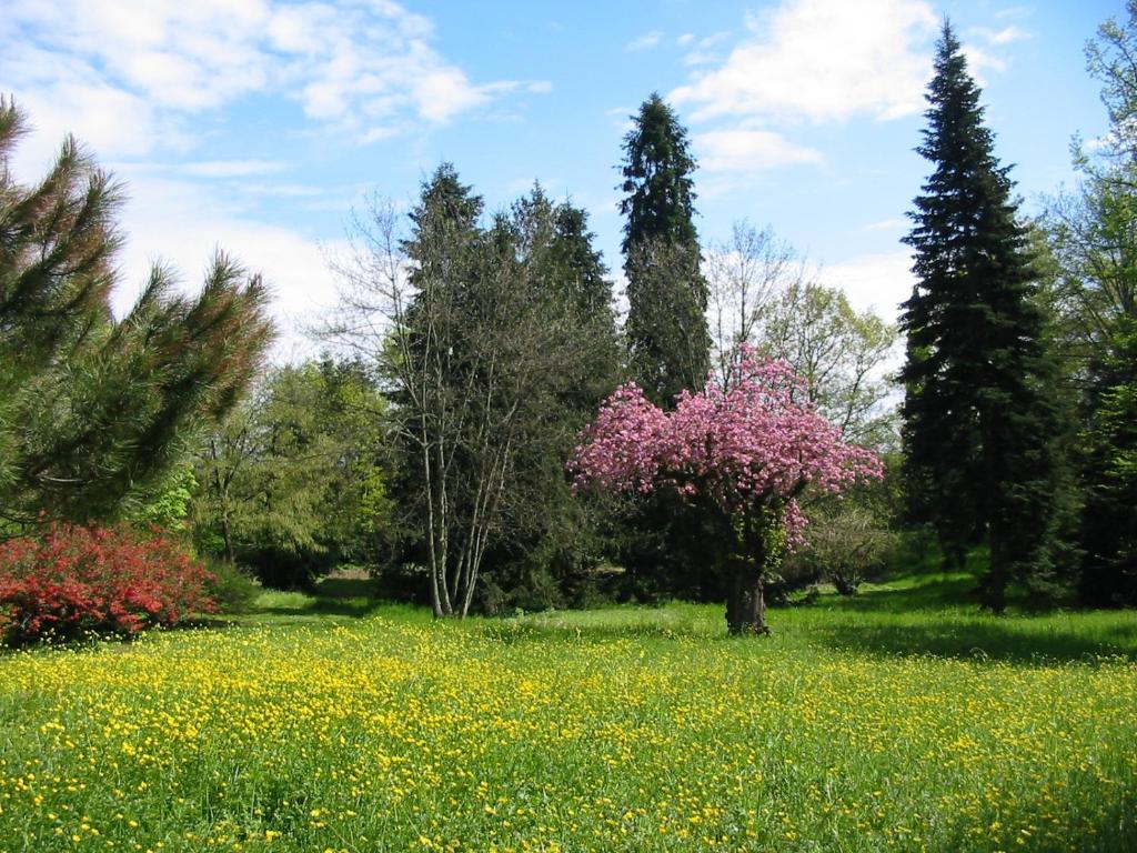 Vonkajšia záhrada v ubytovaní Agriturismo Villa Gropella